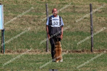IMG_5959.jpg