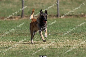 IMG_6043.jpg