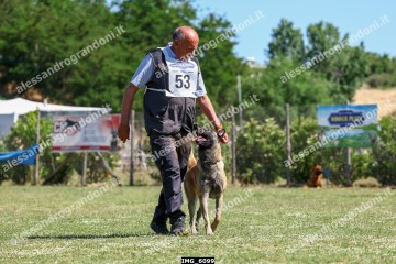 IMG_6099.jpg