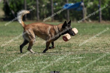 IMG_6171.jpg