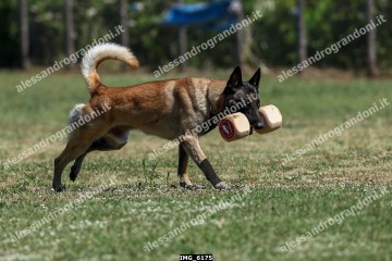 IMG_6175.jpg
