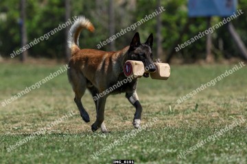 IMG_6191.jpg