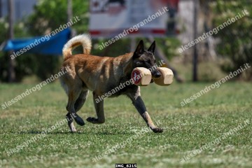 IMG_6215.jpg