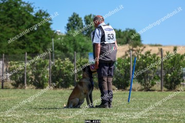 IMG_6233.jpg