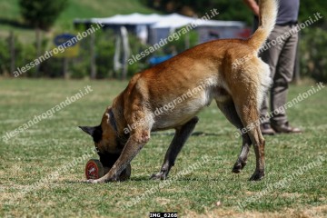 IMG_6268.jpg