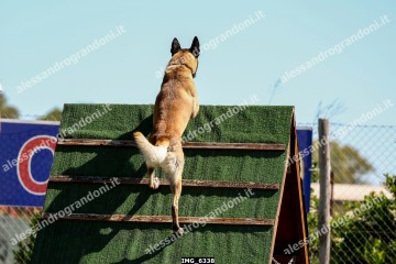 IMG_6338.jpg