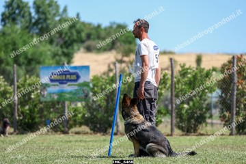 IMG_6468.jpg