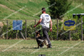 IMG_6493.jpg