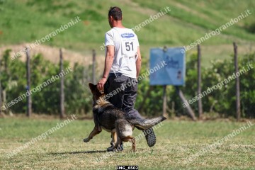 IMG_6502.jpg