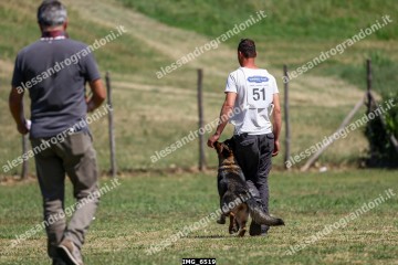 IMG_6519.jpg