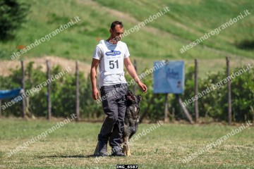 IMG_6587.jpg