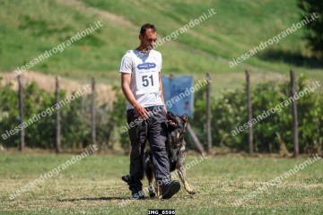 IMG_6596.jpg