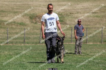 IMG_6795.jpg