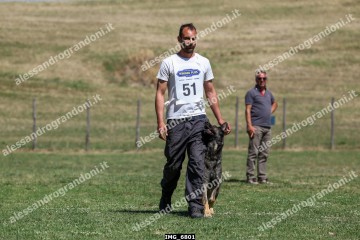 IMG_6801.jpg