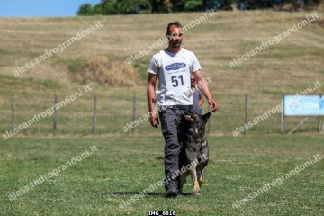 IMG_6816.jpg