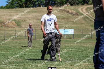 IMG_6838.jpg