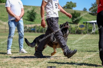 IMG_6869.jpg