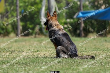 IMG_6940.jpg