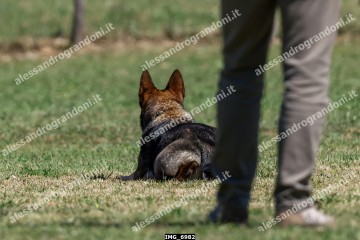IMG_6982.jpg