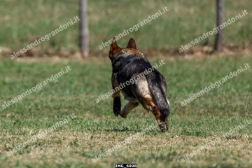 IMG_6998.jpg