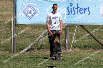 IMG_7034.jpg