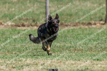 IMG_7073.jpg