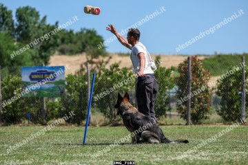 IMG_7183.jpg