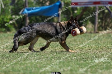 IMG_7217.jpg