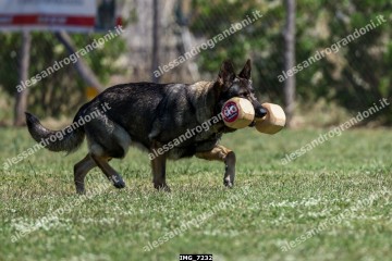 IMG_7232.jpg