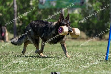 IMG_7239.jpg
