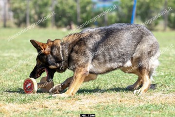 IMG_7296.jpg