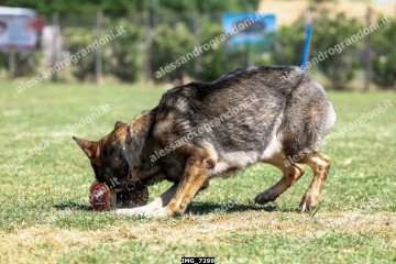 IMG_7299.jpg
