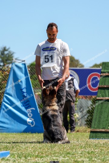 IMG_7332.jpg