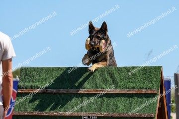 IMG_7355.jpg