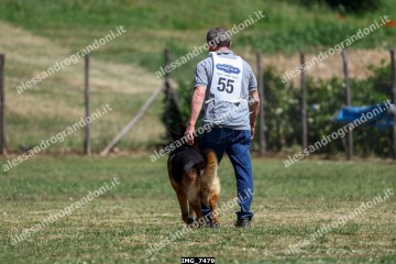 IMG_7479.jpg