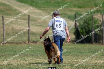 IMG_7484.jpg