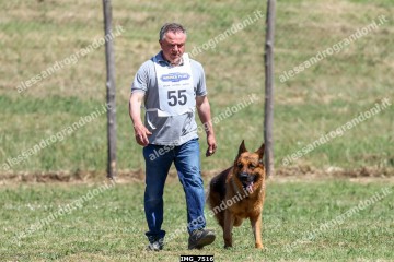 IMG_7516.jpg