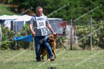 IMG_7604.jpg