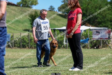 IMG_7665.jpg
