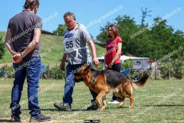 IMG_7681.jpg