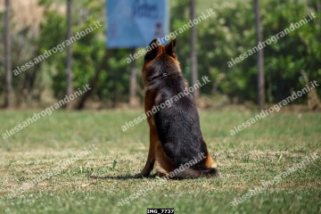 IMG_7737.jpg