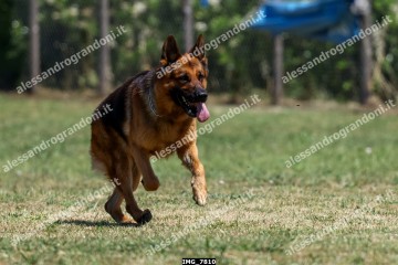 IMG_7810.jpg