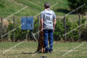 IMG_7828.jpg