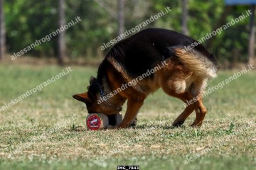 IMG_7843.jpg