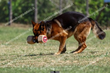 IMG_7858.jpg