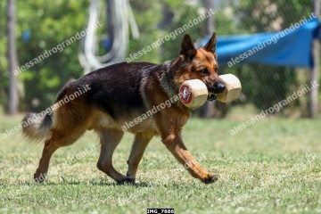 IMG_7886.jpg