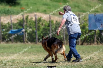 IMG_8081.jpg