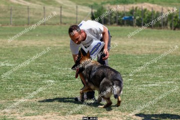 IMG_8162.jpg