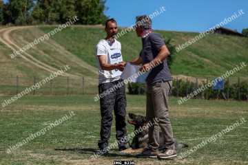 IMG_8236.jpg