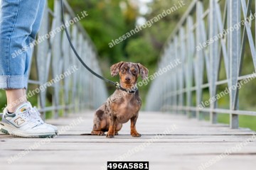 496A5881.jpg